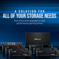 PNY (M280CS1030-500-RB) CS1030 M.2 NVMe 500GB SSD, PCIe Gen3 x4, Sequential Read of up to 2,000 MB/s and Write of up to 1,100 MB/s
